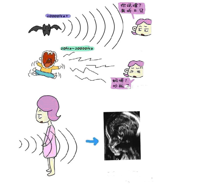 無標(biāo)題_編輯_編輯.jpg